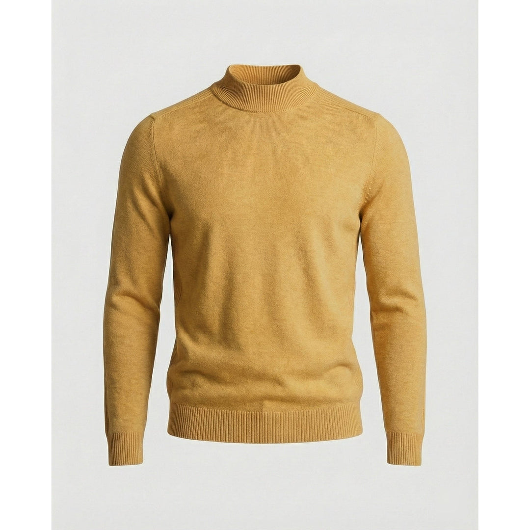 Brian | Refined Slim Fit Ribbed Turtleneck Sweater