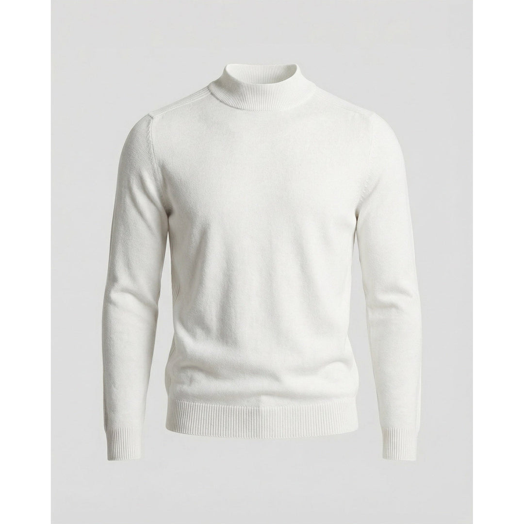 Brian | Refined Slim Fit Ribbed Turtleneck Sweater