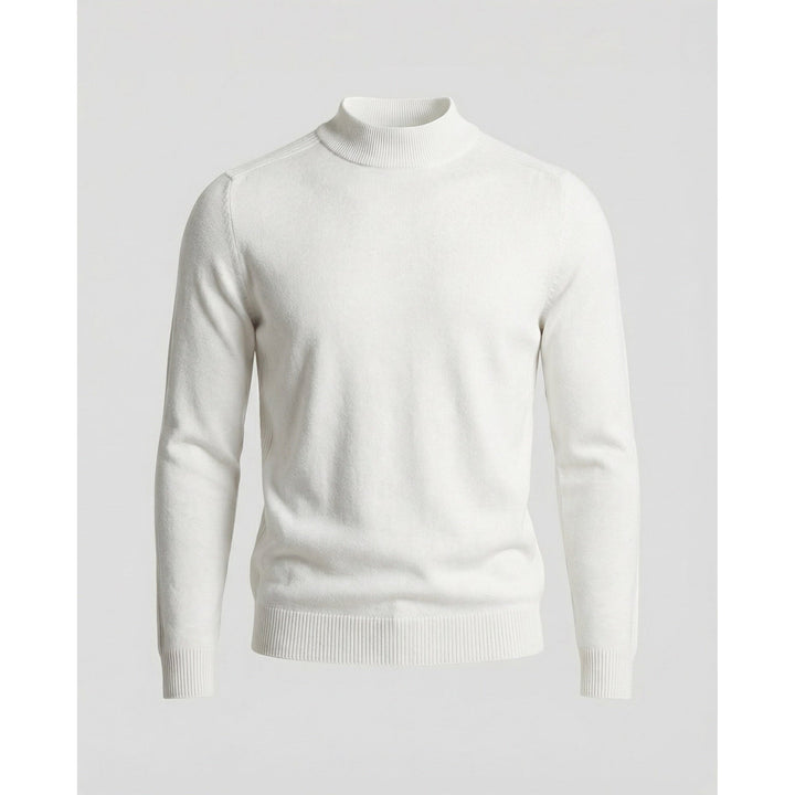 Brian | Refined Slim Fit Ribbed Turtleneck Sweater