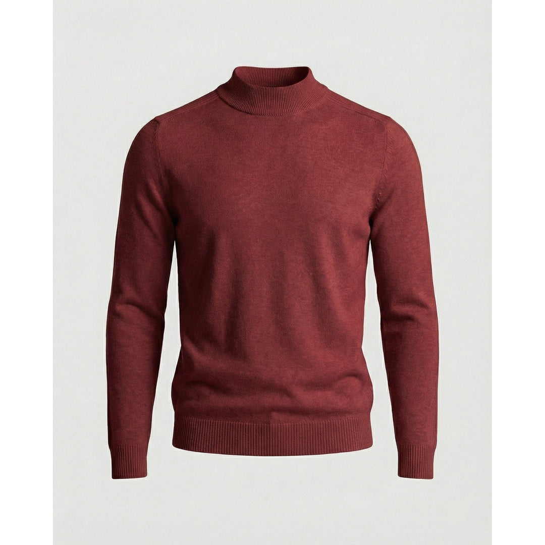 Brian | Refined Slim Fit Ribbed Turtleneck Sweater