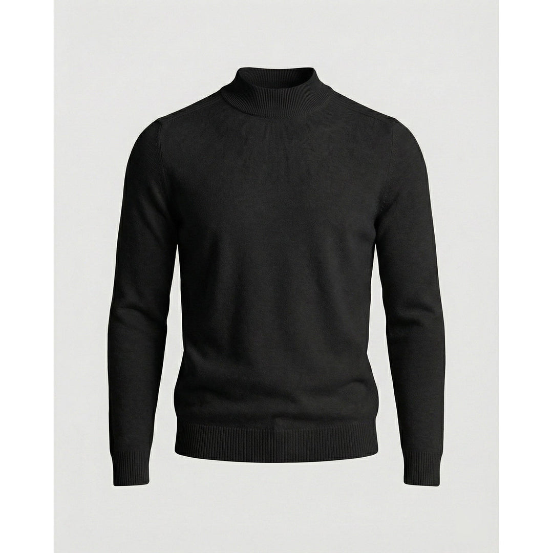 Brian | Refined Slim Fit Ribbed Turtleneck Sweater
