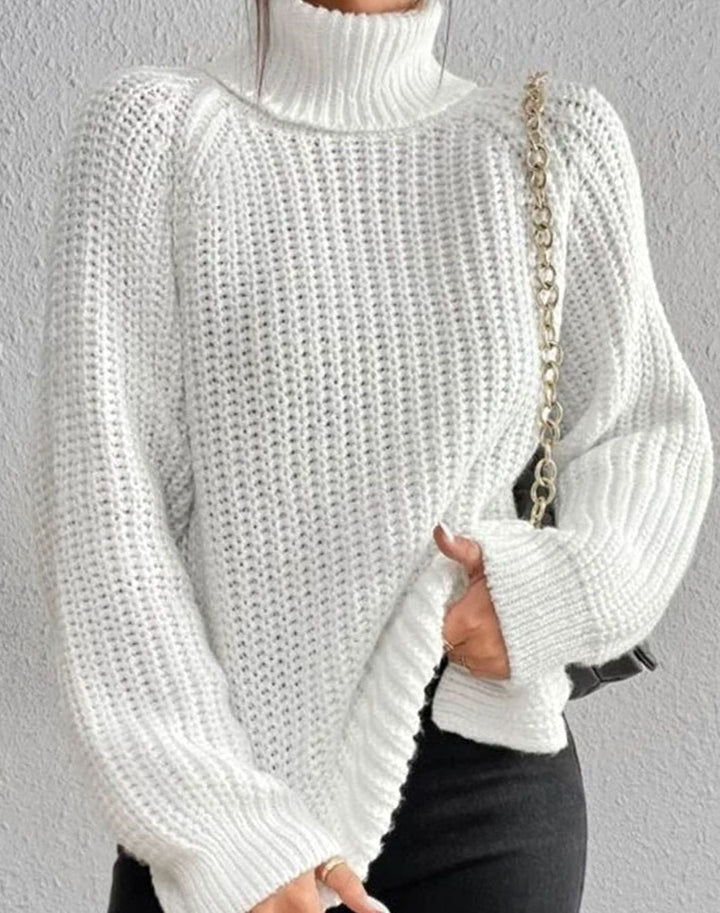 Mary | Cozy Long Sleeve Chunky Knit Turtleneck Sweater