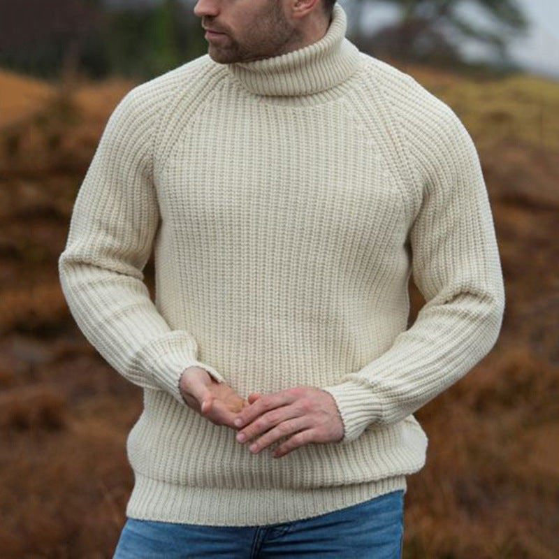Wayne | Elegant Ribbed Turtleneck Sweater